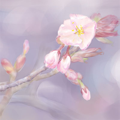 八重桜