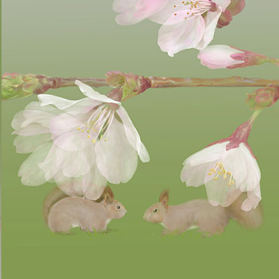 エゾヤマザクラとリス