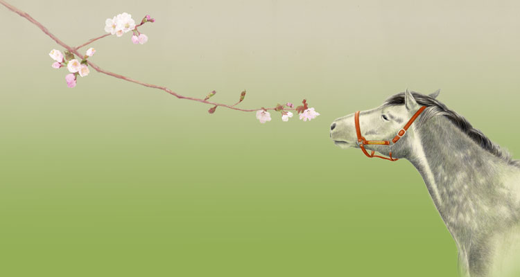 馬と桜の枝